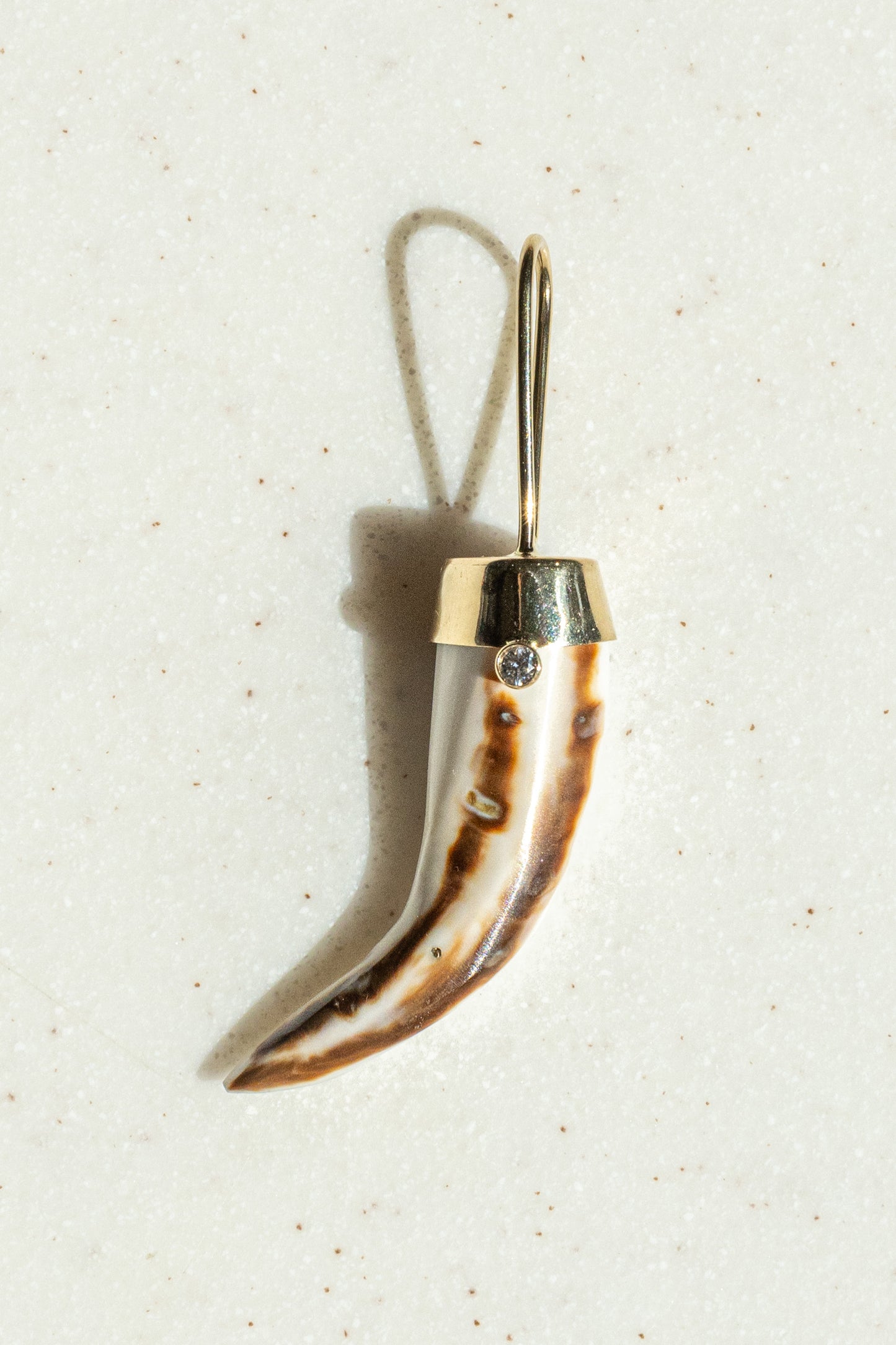 Horn-Shaped Shell Pendant, 14k